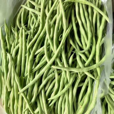 壶关旱地豆王大量上市