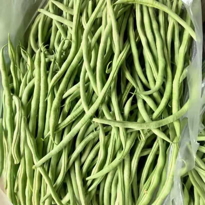 壶关旱地豆王大量上市