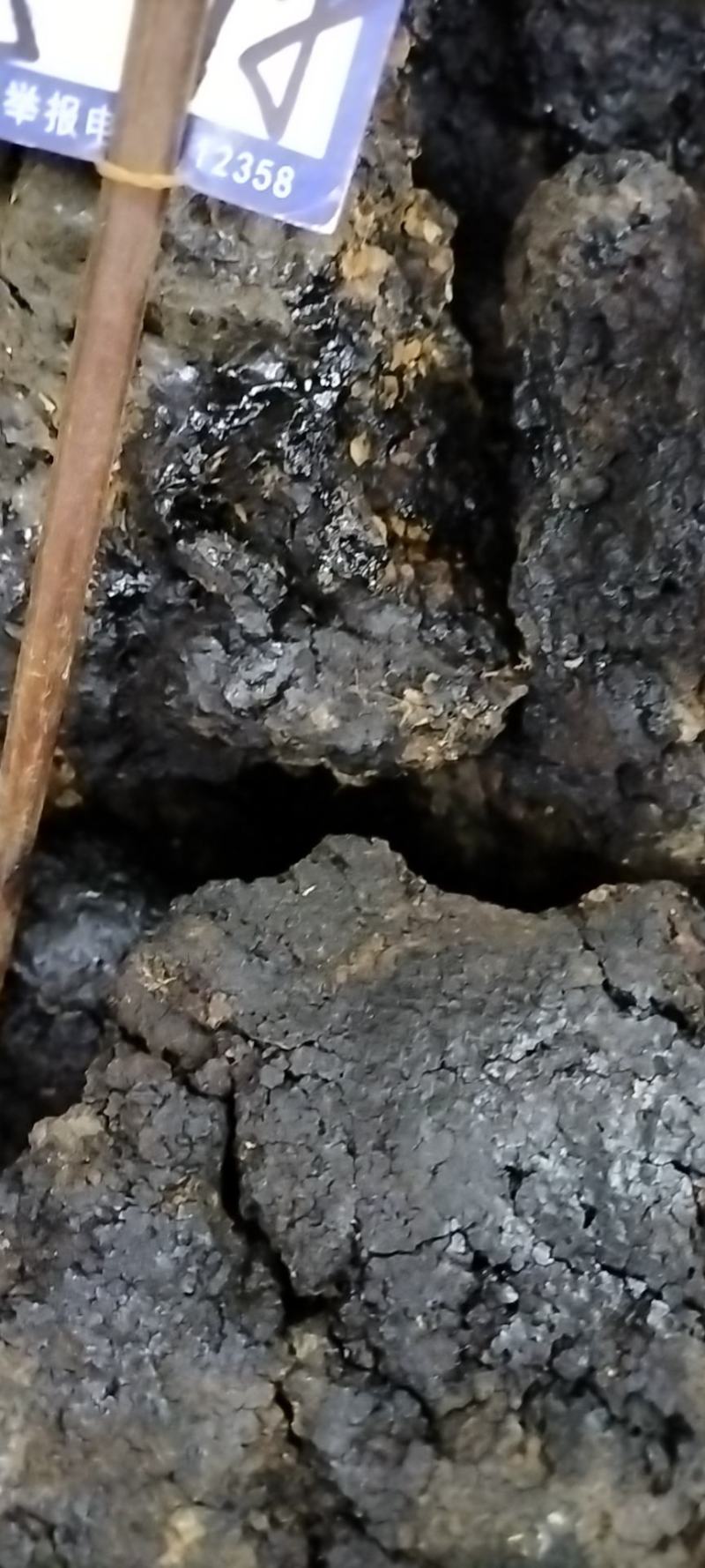 产地直销野生药材猴结血灵脂猴竭猴結