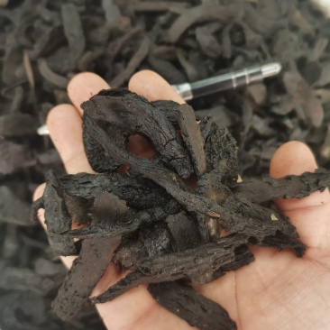 肉苁蓉【正宗阿拉善肉苁蓉】高含量，大货供应，量大从优