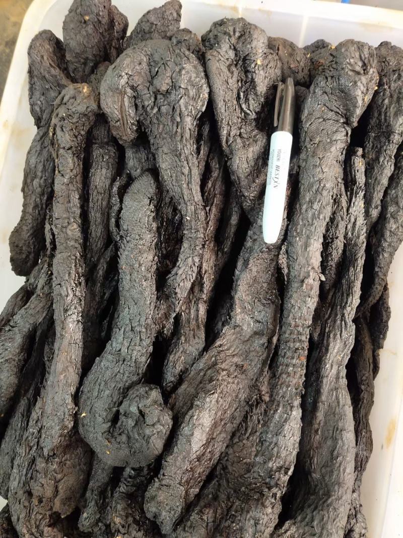 肉苁蓉【正宗阿拉善肉苁蓉】高含量，大货供应，量大从优