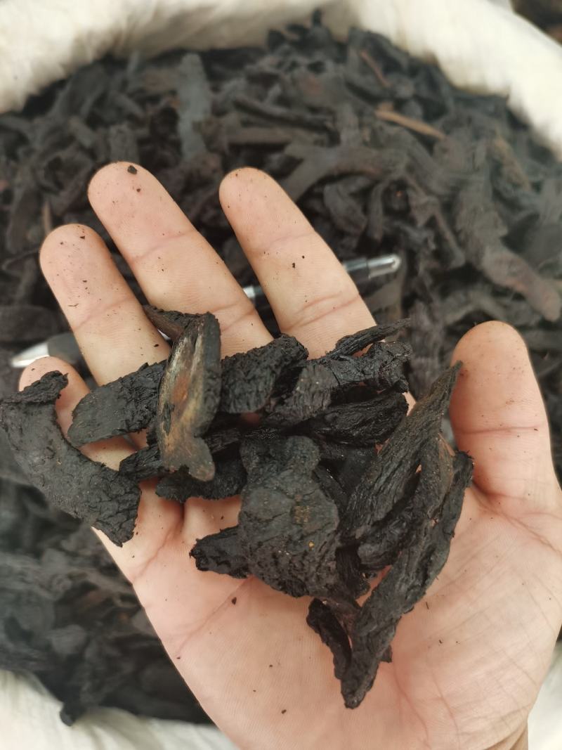 肉苁蓉【正宗阿拉善肉苁蓉】高含量，大货供应，量大从优