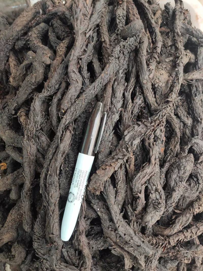 肉苁蓉【正宗阿拉善肉苁蓉】高含量，大货供应，量大从优