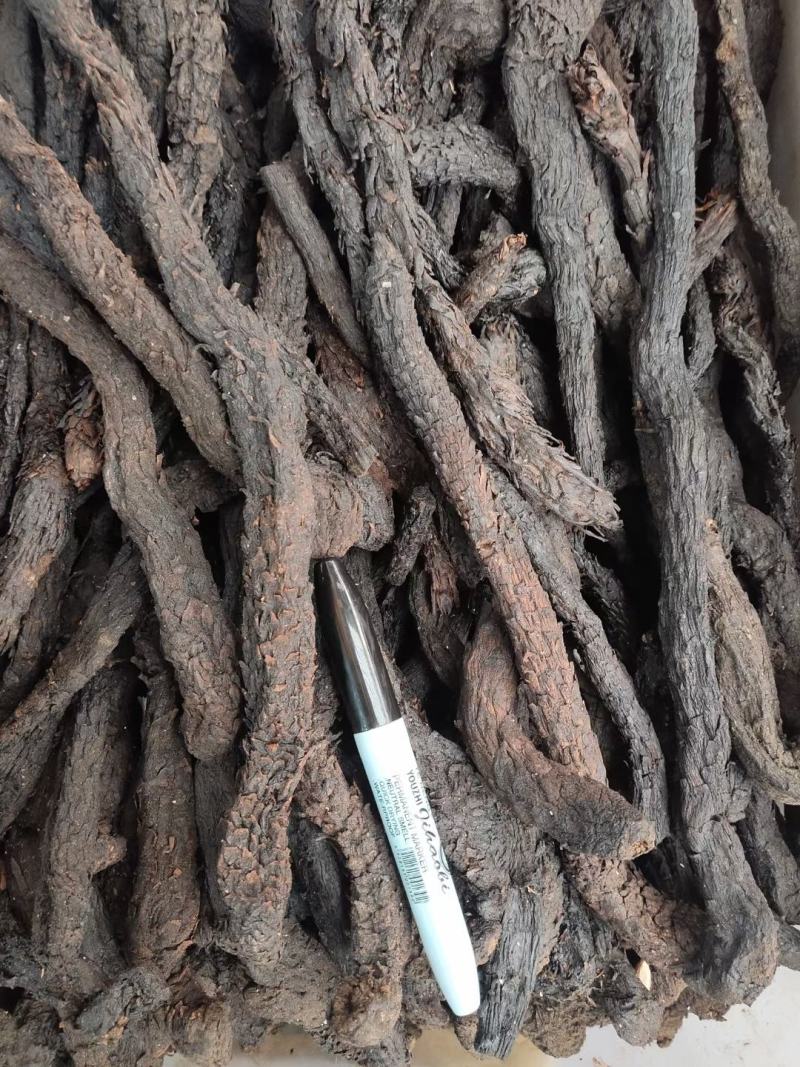 肉苁蓉【正宗阿拉善肉苁蓉】高含量，大货供应，量大从优