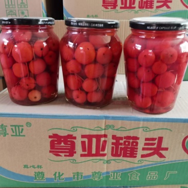 黄桃罐头，杂果河北金诺商贸有限公司
