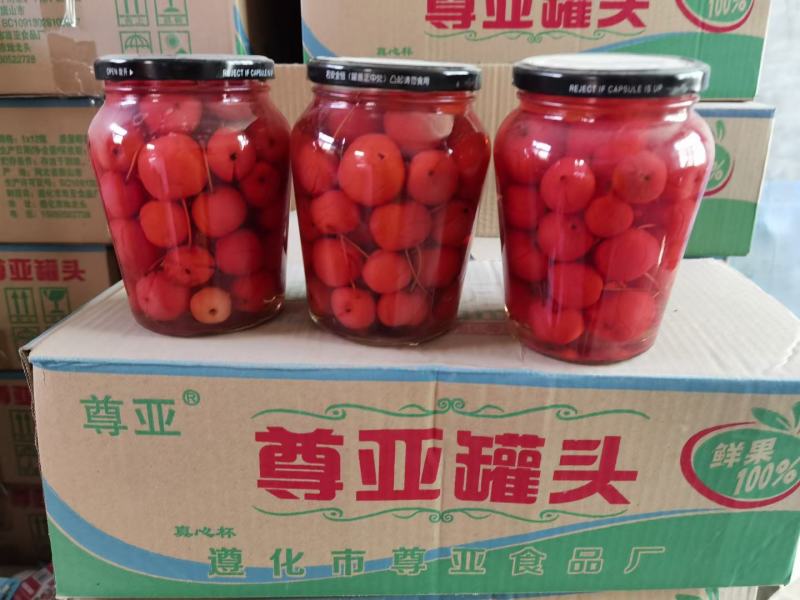 黄桃罐头，杂果河北金诺商贸有限公司