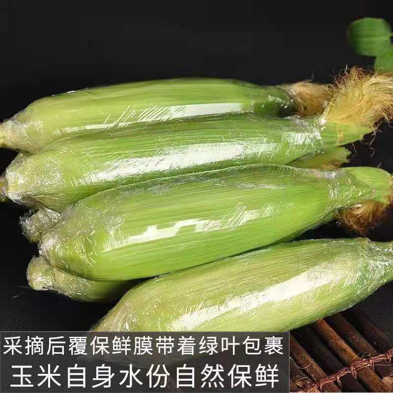 云南水果玉米电商平台一件代发，打冷保鲜膜包装量大从优