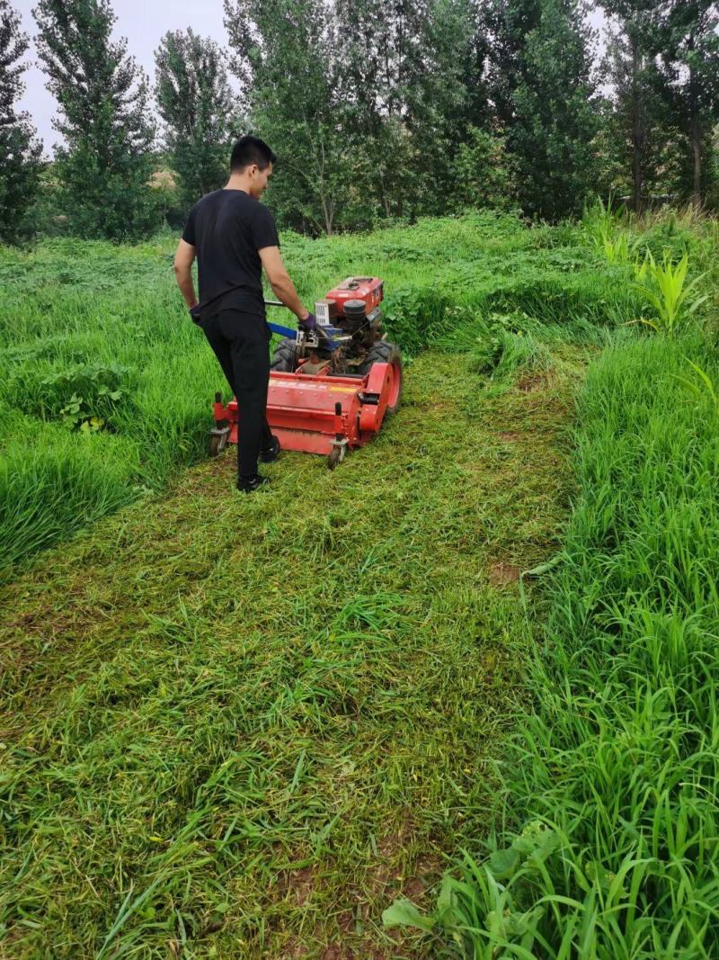 秸秆还田机碎草机打草机秸秆还田粉碎机手扶履带车配套灭茬机