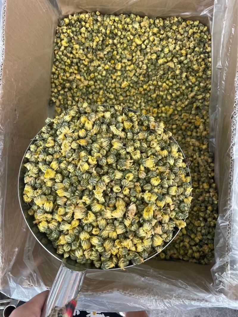 胎菊胎菊米甘菊纯无硫无添加物大货供应量大从优