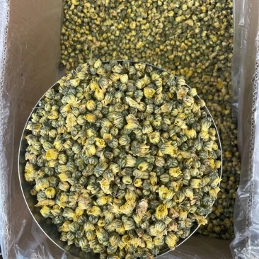 胎菊胎菊米甘菊纯无硫无添加物大货供应量大从优
