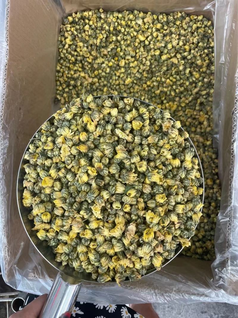 胎菊胎菊米甘菊纯无硫无添加物大货供应量大从优