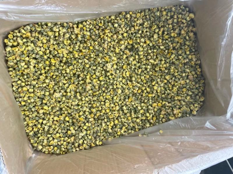胎菊胎菊米甘菊纯无硫无添加物大货供应量大从优