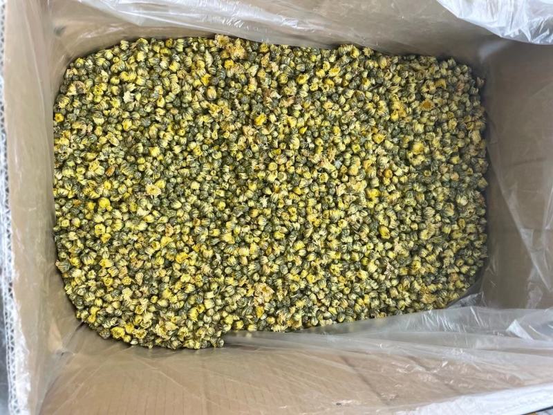胎菊胎菊米甘菊纯无硫无添加物大货供应量大从优