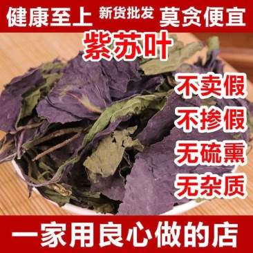 紫苏叶紫苏叶干苏子叶中药材无梗香料鲜干苏叶