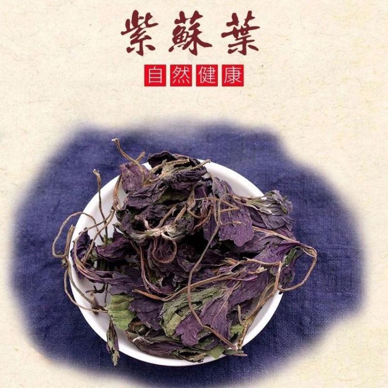 紫苏叶紫苏叶干苏子叶中药材无梗香料鲜干苏叶
