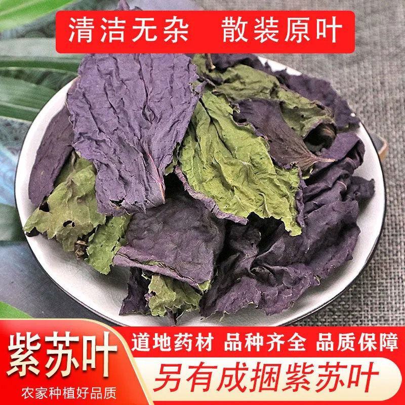 紫苏叶紫苏叶干苏子叶中药材无梗香料鲜干苏叶
