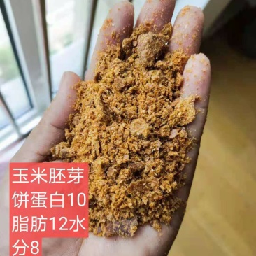 玉米胚芽饼