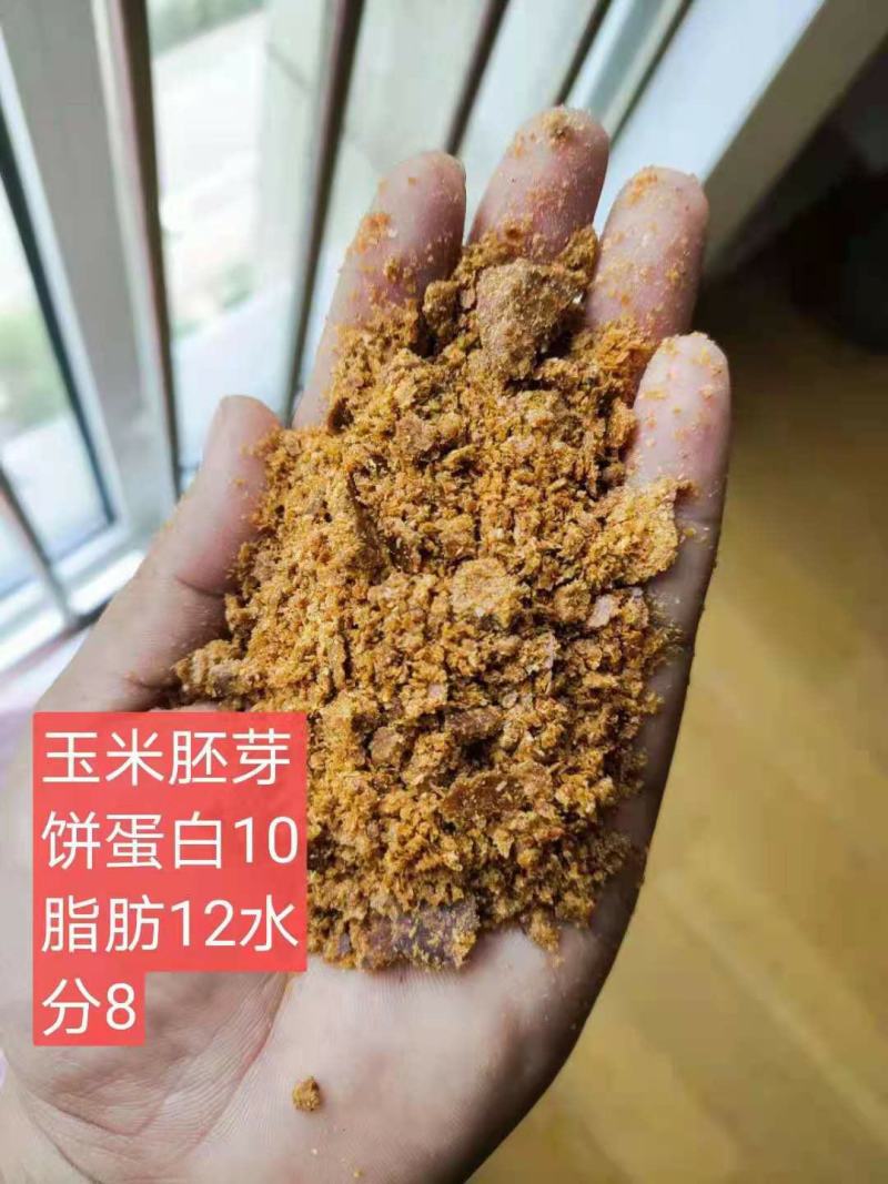 玉米胚芽饼