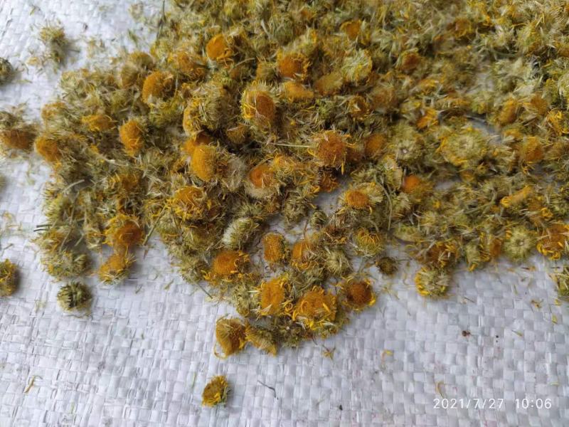 旋覆花六月菊中药材花类，产地直销
