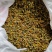 旋覆花六月菊中药材花类，产地直销