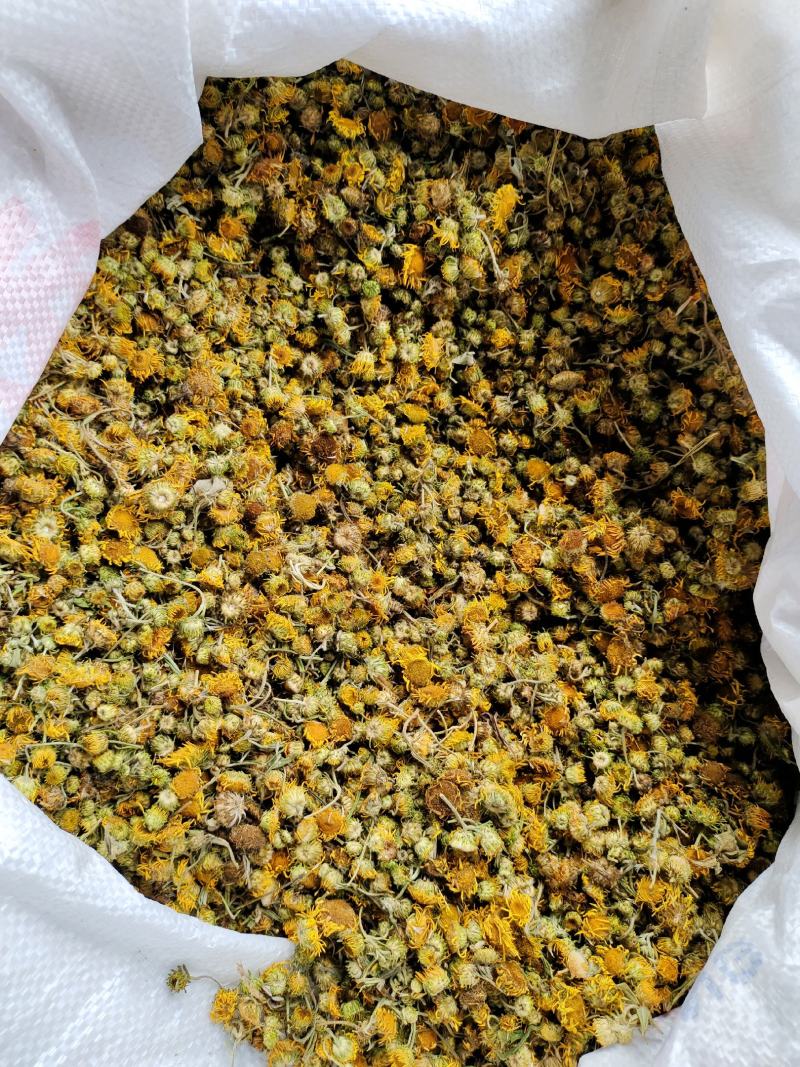旋覆花六月菊中药材花类，产地直销