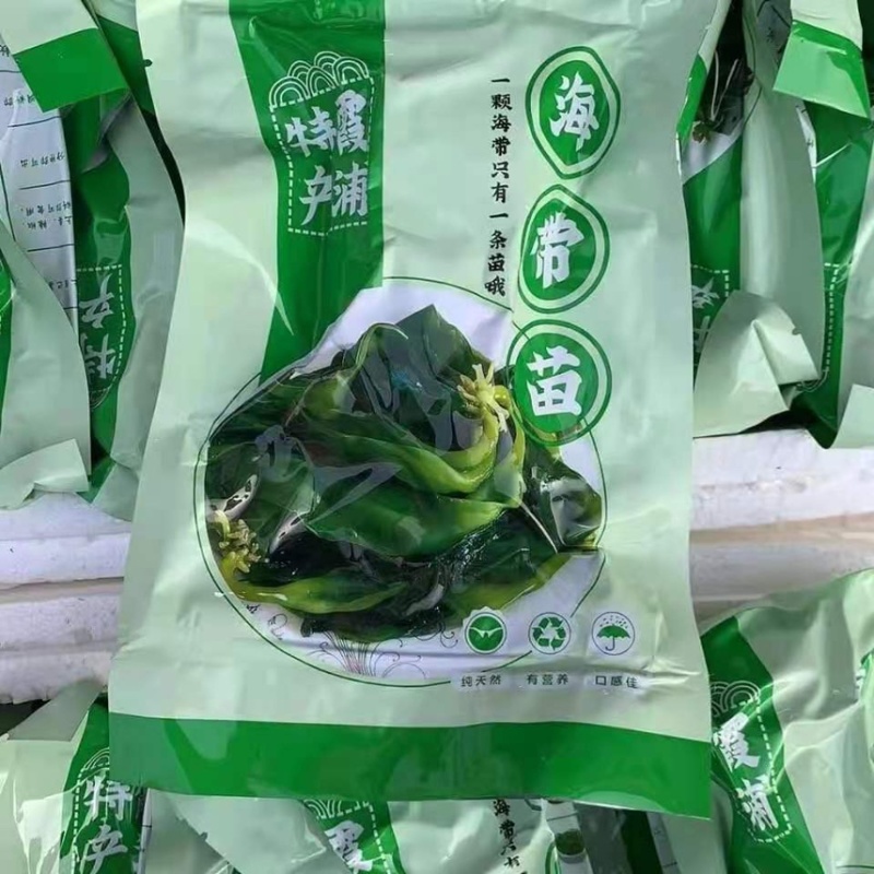 海带苗500g每袋