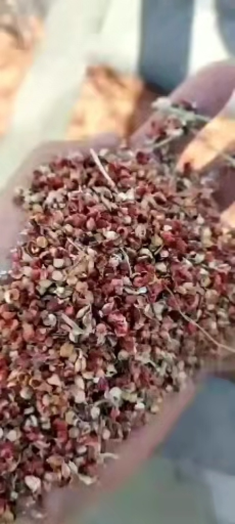高粱壳