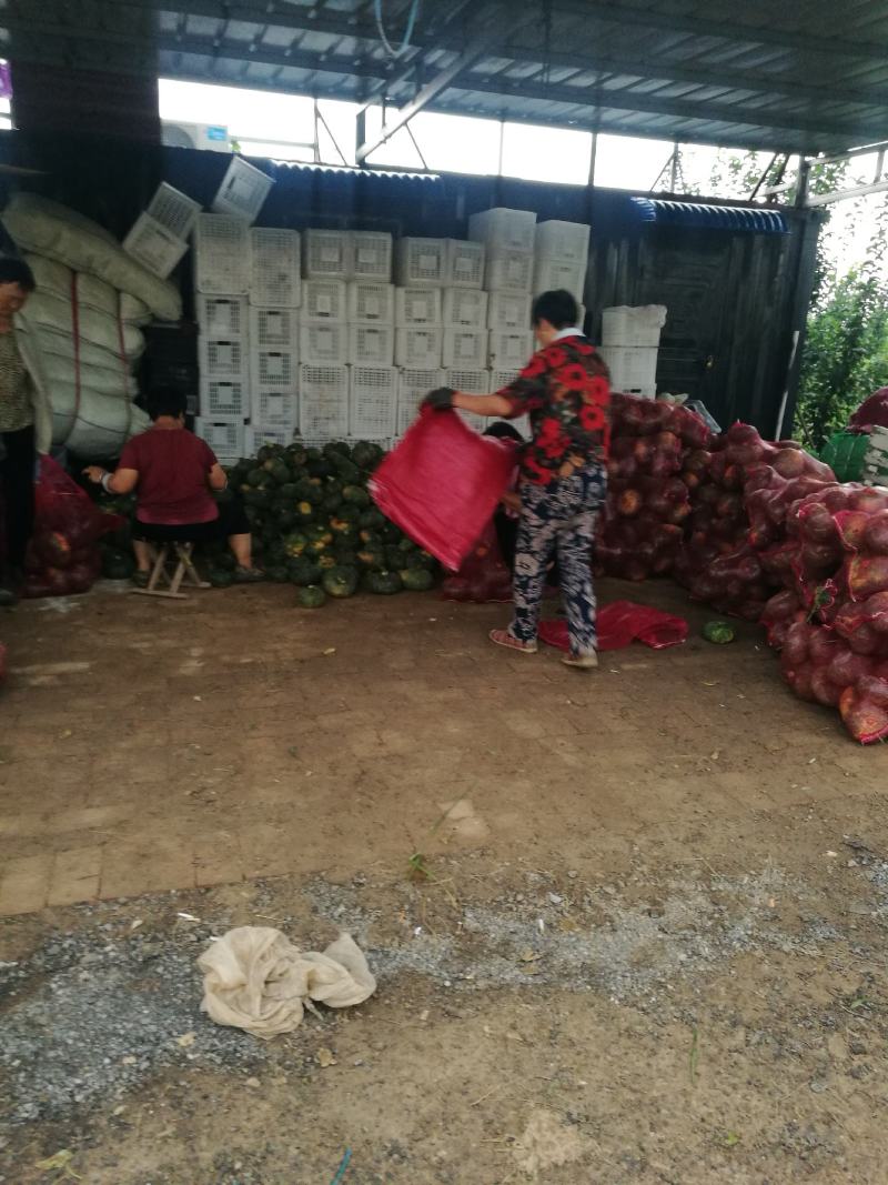 板栗南瓜