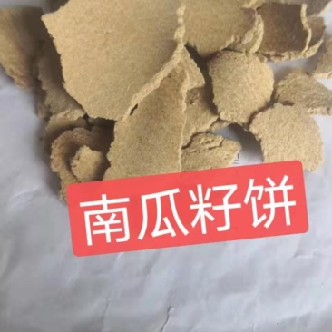 南瓜籽饼
