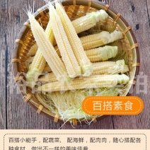 玉米笋新鲜水果玉米笋芯带皮迷你小玉米现摘食材包邮。