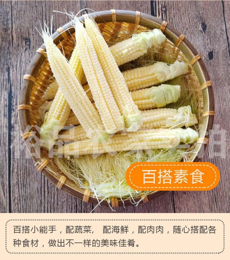 玉米笋新鲜水果玉米笋芯带皮迷你小玉米现摘食材包邮。