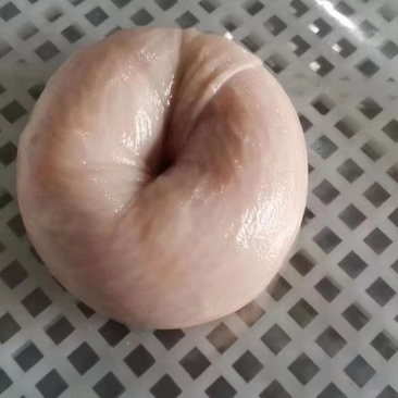 网红圈圈肠