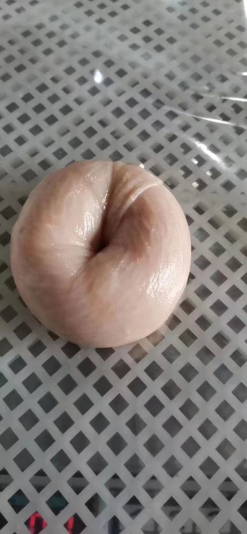 网红圈圈肠