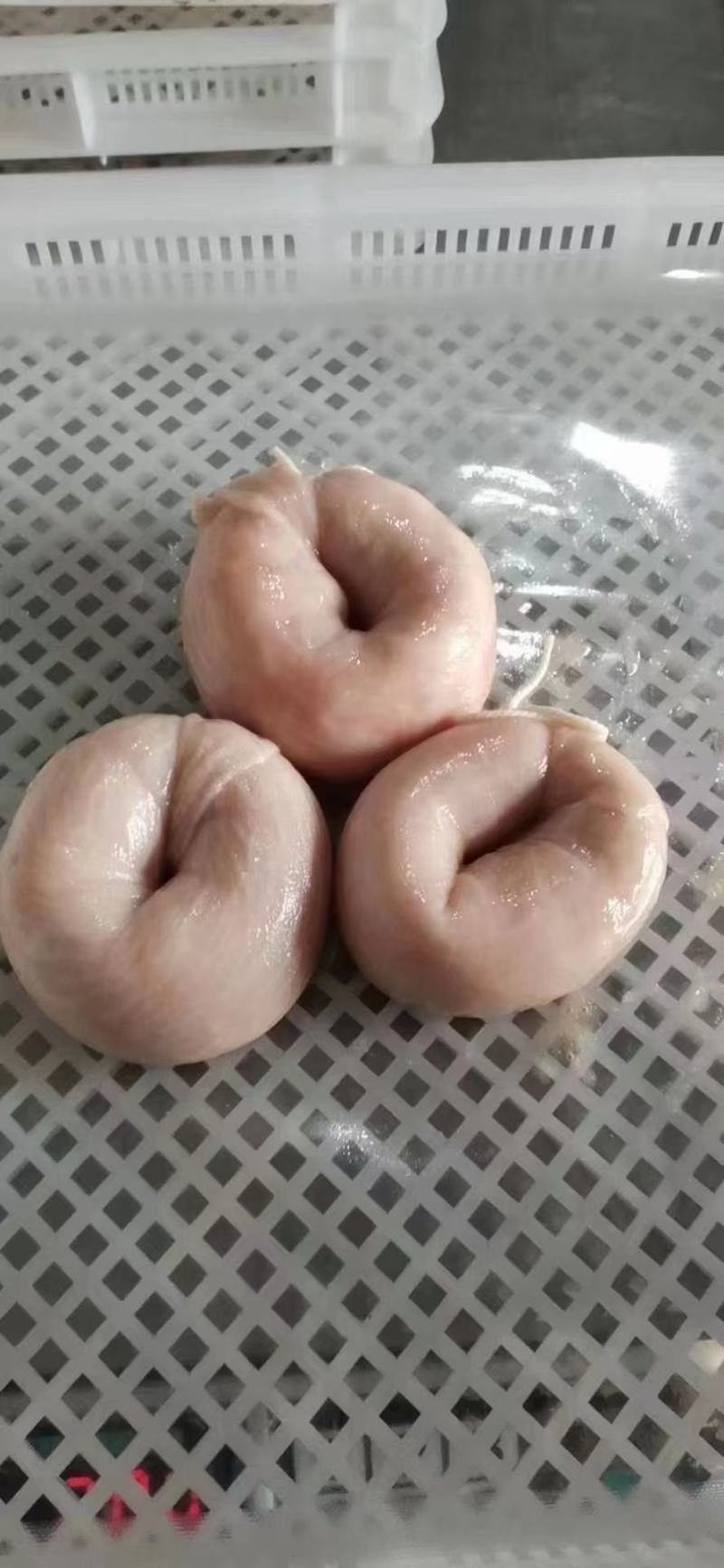 网红圈圈肠