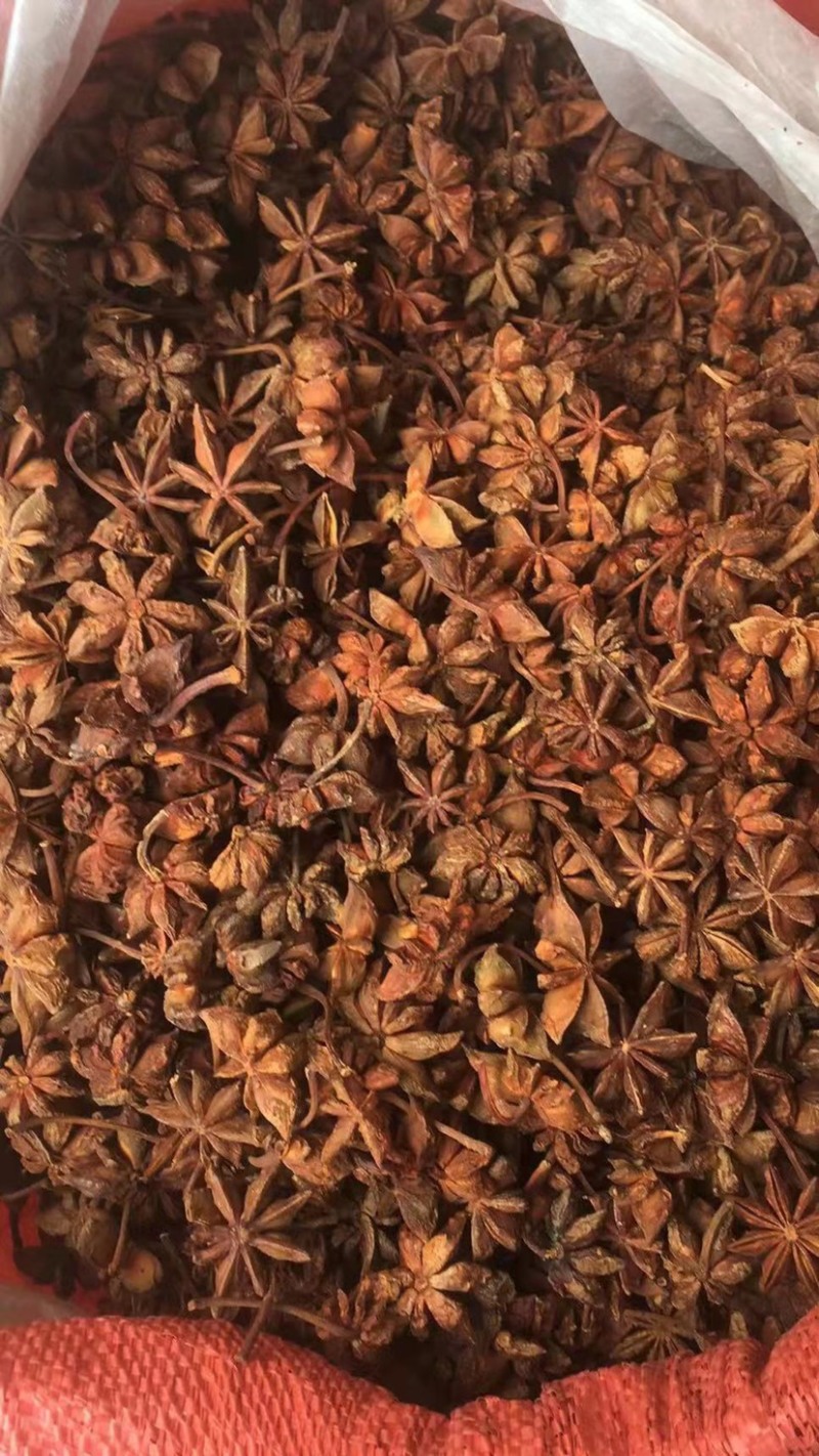 当季广西大红八角大料各种规格常年批发量大从优