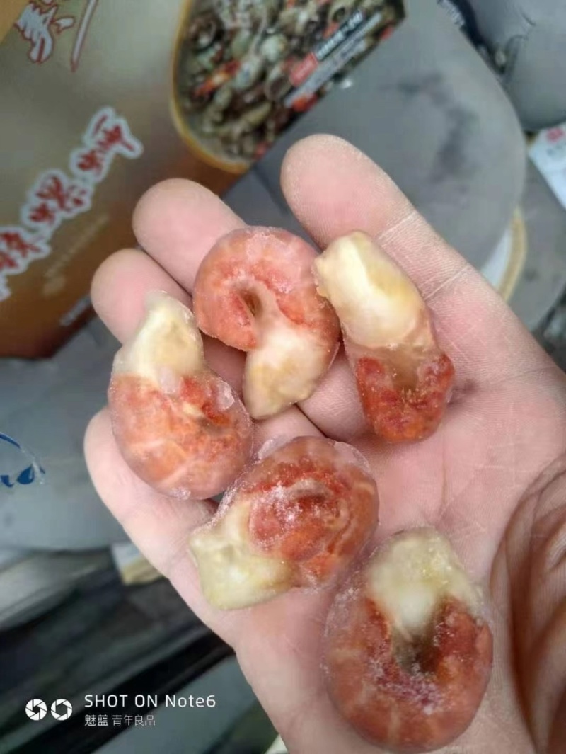 单冻虾尾