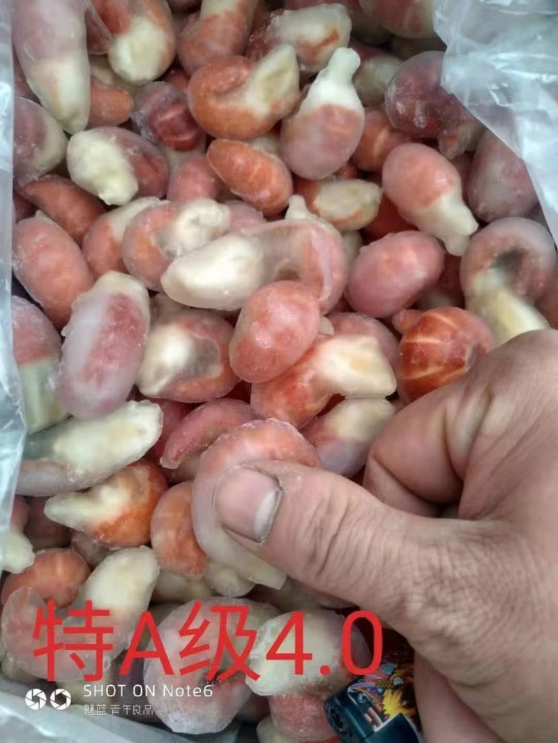 单冻虾尾