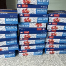 单冻虾尾
