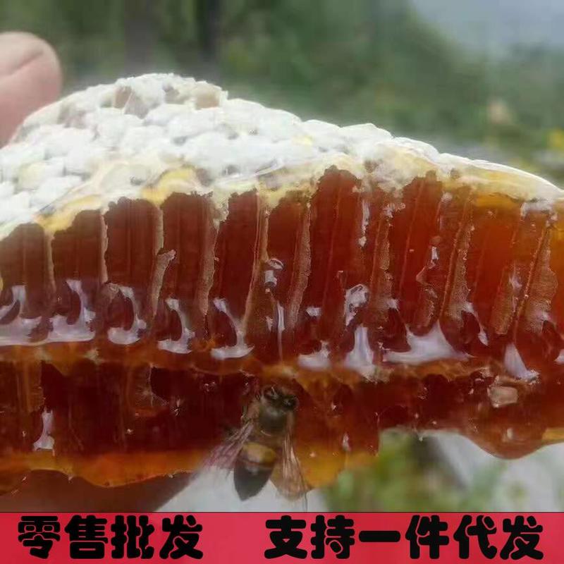 蜂蜜，云南香格里拉原生态蜂蜜，产地直供，品质保证