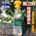 （包邮）果蝇诱捕器果实蝇针锋性诱剂果蝇引诱剂