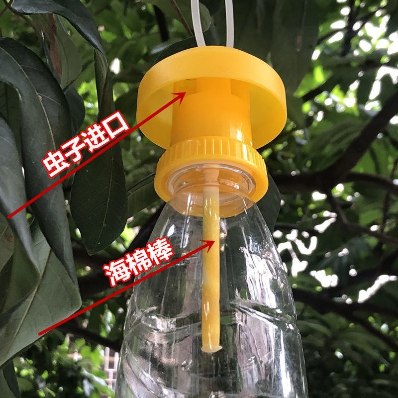 （包邮）果蝇诱捕器果实蝇针锋性诱剂果蝇引诱剂