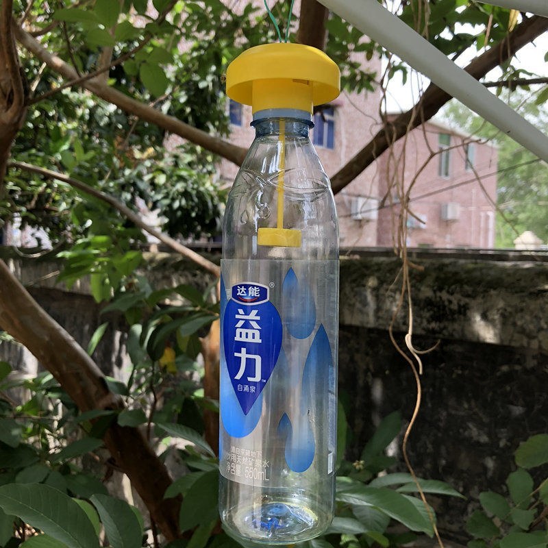 （包邮）果蝇诱捕器果实蝇针锋性诱剂果蝇引诱剂