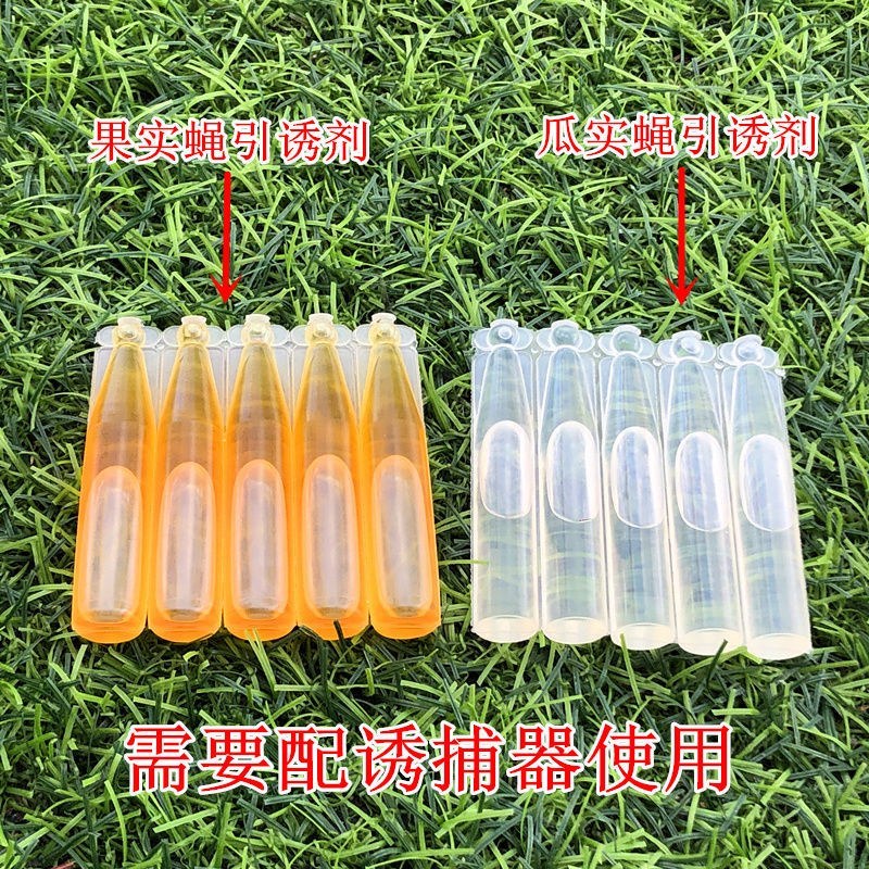 （包邮）果蝇诱捕器果实蝇针锋性诱剂果蝇引诱剂