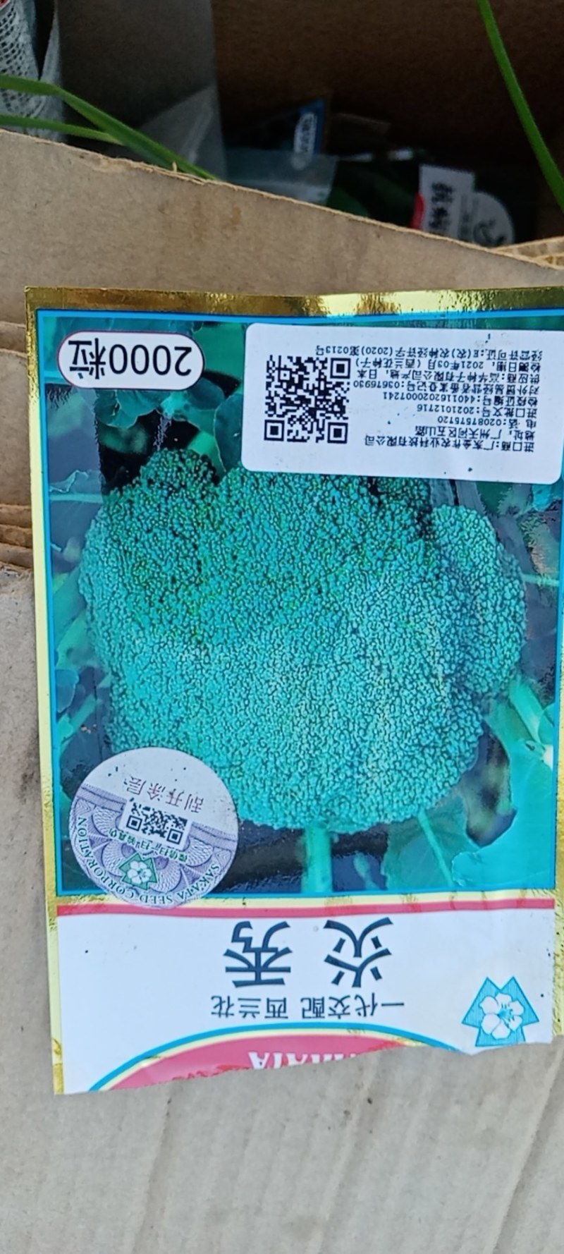 西兰花苗，现在有货，苗厂直销，价格便宜。