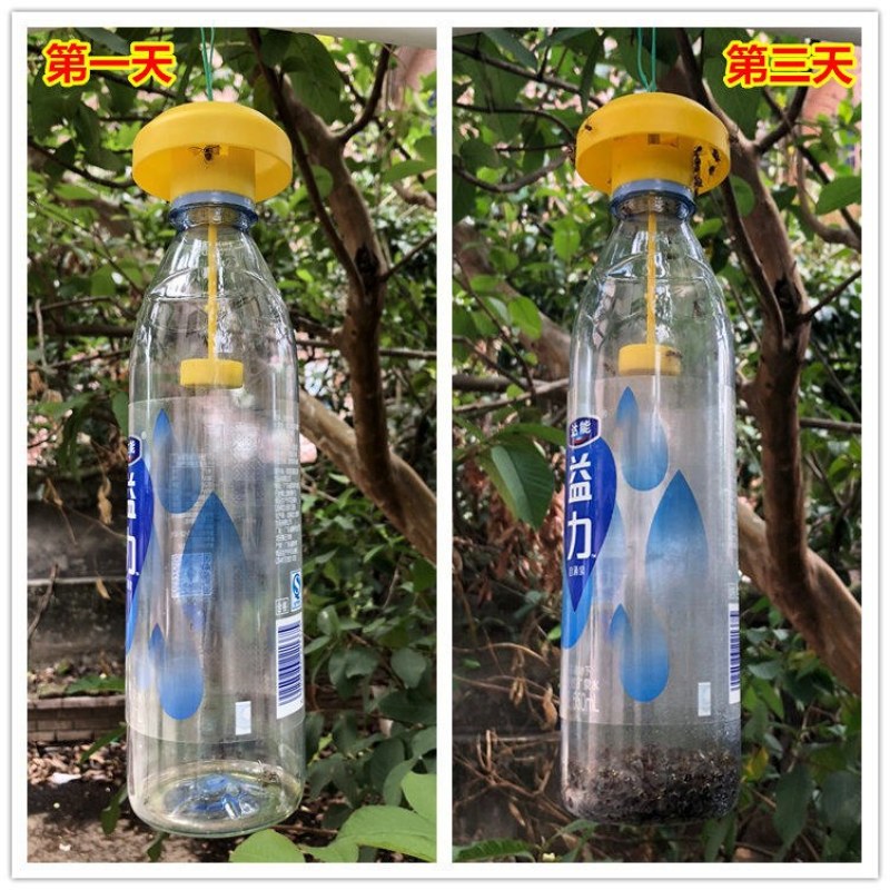 （包邮）果蝇诱捕器果实蝇针锋性诱剂果蝇引诱剂