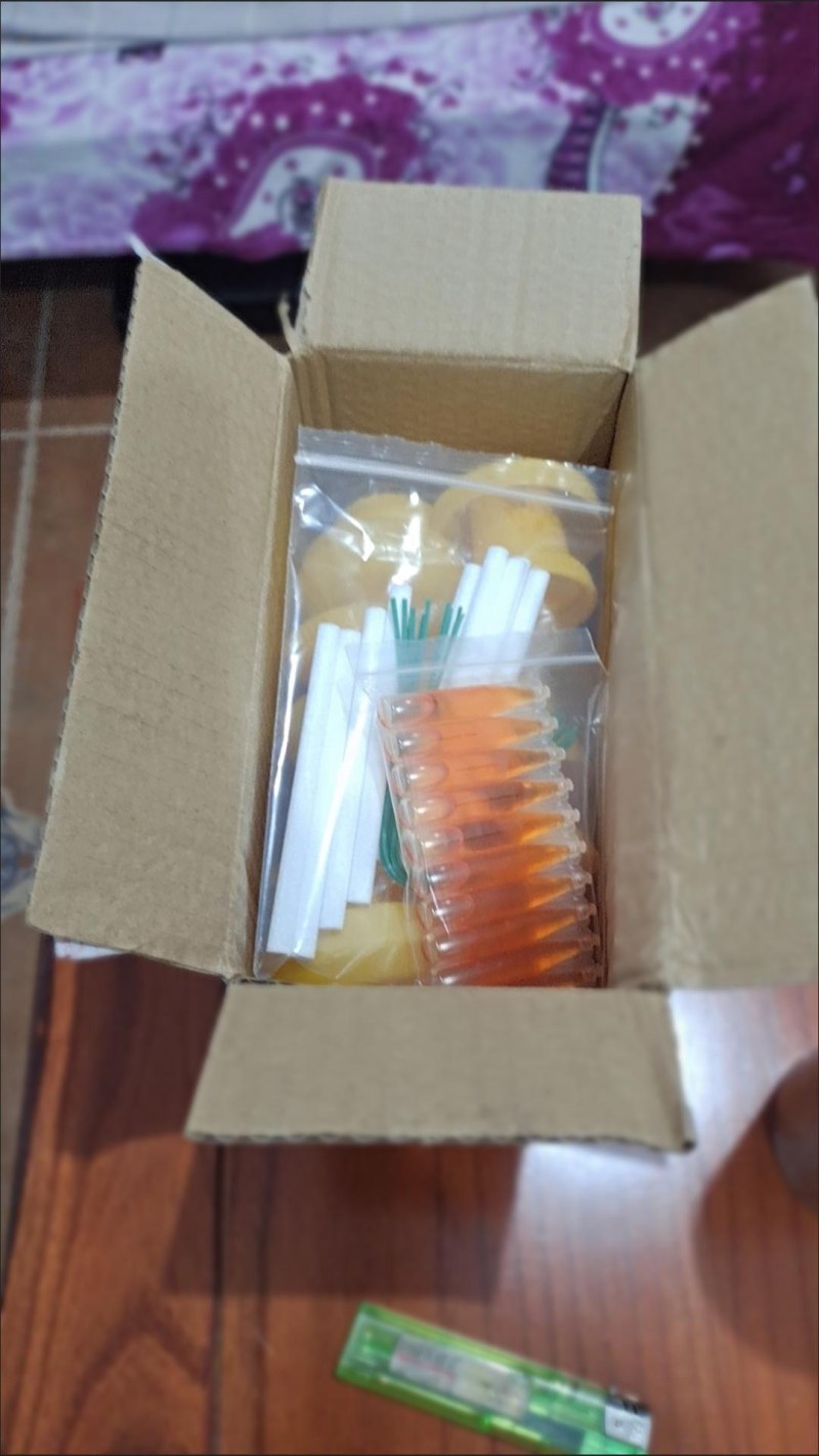 （包邮）果蝇诱捕器果实蝇针锋性诱剂果蝇引诱剂