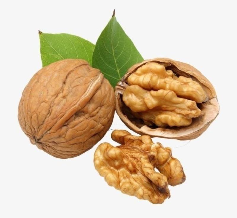 青皮核桃，褪皮鲜核桃量大从优