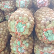 、辉县市南太行青皮核桃