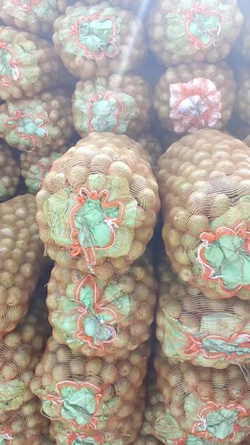 、辉县市南太行青皮核桃