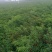 鲜辣椒816，三樱大量上市